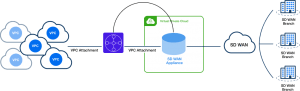 AWS Transit Gateway Connect